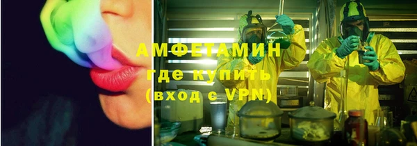 индика Нея