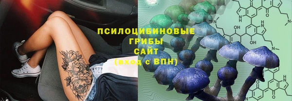 дмт Алексеевка