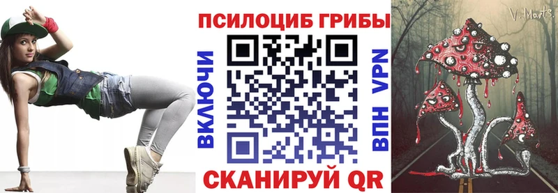 Псилоцибиновые грибы MAGIC MUSHROOMS  где найти наркотики  Полевской 
